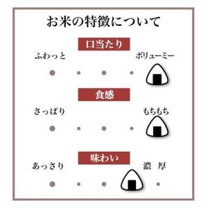 ふるさと納税 厳選米 ミルキークイーン 10kg 米 お米  茨城県結城市