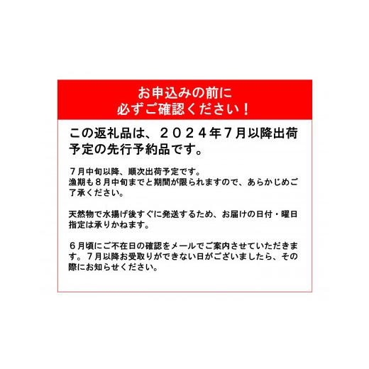 ふるさと納税 新潟県 糸魚川市 親不知産 天然岩牡蠣(生食用) 大サイズ4個以上 2024年7月20日以降順次発送 鮮度抜群！ 水揚げ直後に発送 日…