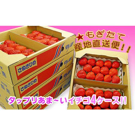 ふるさと納税 香川県のオリジナル品種 さぬき姫いちご8パック 香川県宇多津町