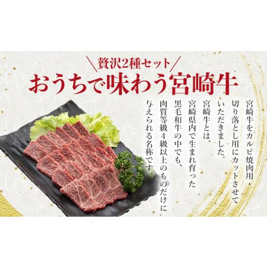 ふるさと納税 宮崎県 宮崎市 宮崎牛 カルビ焼肉・切り落とし セット 計800g_M243-002