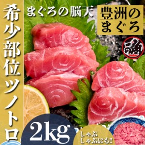  脳天 2kg  ツノトロ 脳天 ノーテン ズニク ハチノミ 鮪版 シャトーブリアン 大 ～ 特大   ミナミ マグロ まぐろ 天然 国産