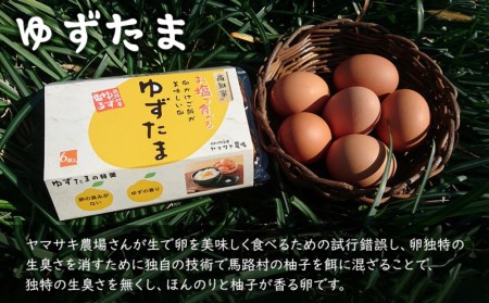 高知県産　南国土佐の季節野菜と卵（ゆずたま）の詰め合わせセット