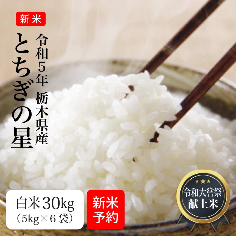 お米 30kg 米 とちぎの星 白米 新米 令和5年 栃木県産 5kg×6袋 まとめ買い 業務用米 送料別 沖縄・離島不可