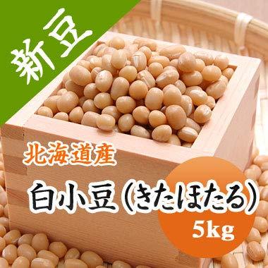 国産 小豆  北海道産 白小豆 きたほたる 5kg