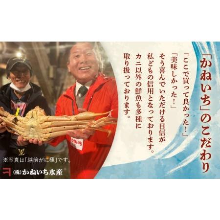 ふるさと納税 越前がに本場の越前町からお届け！越前がに浜茹で特大サイズ×1杯（生で1.1〜1.3kg） [e22-x008.. 福井県越前町