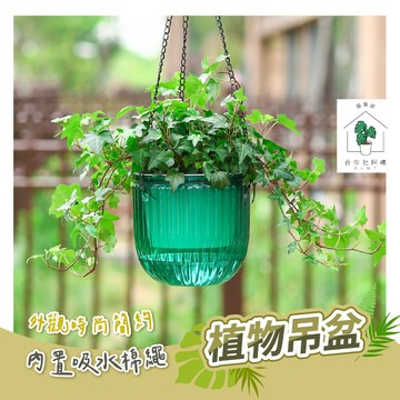 【台灣現貨 免運】懶人花盆 吊盆 盆栽 懶人吊盆 透明 植物吊盆 免澆水花盆 水耕花盆 水耕吊盆 室內花盆 花盆 園藝