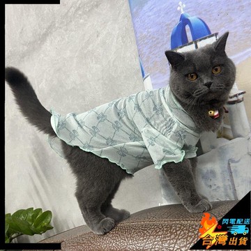 【台灣出貨】寵物衣服 狗狗衣服 貓咪衣服 中小型犬兩腳衣 貓咪透氣背心 小型犬博美比熊約夏克 寵物薄款衣服