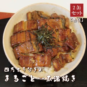 四万十うなぎ まるごと一本蒲焼き（缶詰）110g×2缶セット　高知県四万十から産地直送