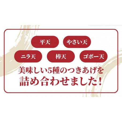 ふるさと納税 鹿児島県 奄美市 つきあげ（さつま揚げ）人気の詰合せDセット 練り物 魚肉 奄美特産 詰め合わせ おつまみ おかず さつ…