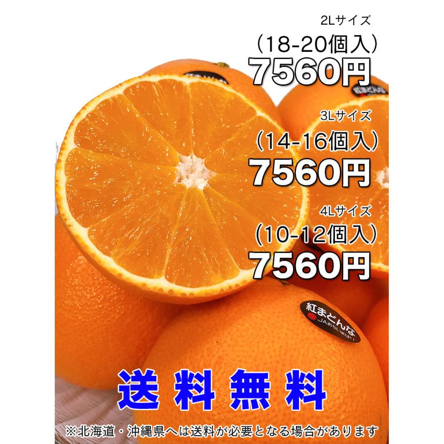 紅マドンナ 紅まどんな 送料無料 愛媛県 紅まどんな 秀品 3kg 12個入り ぜりーのようなプルプル果肉 愛媛の貴婦人 お歳暮 ギフト 予約 12月上旬頃から