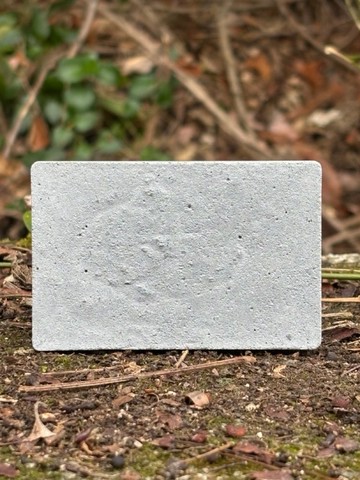 欣賞水珠的 objet