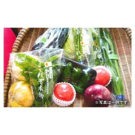 ふるさと納税 特別栽培 季節のお野菜セット 8品 おまかせ やさい 宮崎県えびの市