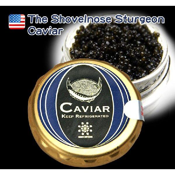 キャビア 天然キャビア アメリカ産 ハックルバック 50g×12個 瓶入り パスチュライズ caviar 冷凍