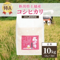 令和5年 新潟上越産「標高480mの山間地で育てた棚田米コシヒカリ」玄米10kg