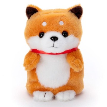 迴聲寵物- 柴犬