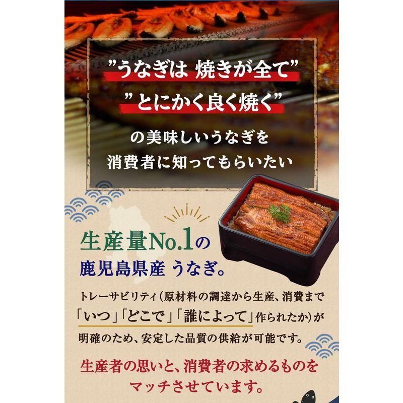 鹿児島県産うなぎ蒲焼きざみ 50g×10セット(たれ・山椒付）鰻 ウナギ unagi うなぎ 海鮮 国産 お中元 土用丑の日 熨斗対応 ギフ