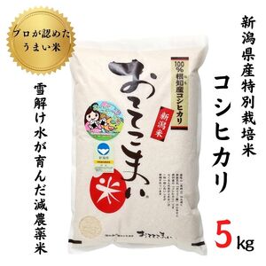 新潟県産 特別栽培米コシヒカリ5kg×1袋「おててこまい」100%根知産 減農薬 令和5年産 専門家お墨付き 産地直送 糸魚川 こしひかり