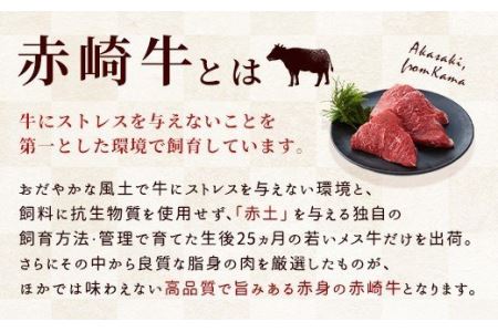 赤崎牛 もも肉 ブロック 約10kg 牛肉