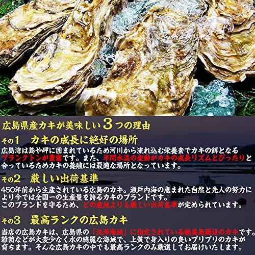 ますよね カキ 牡蠣 ジャンボ広島かき 2kg (解凍後 約850g×2袋) 約60粒 約10人前 加熱用