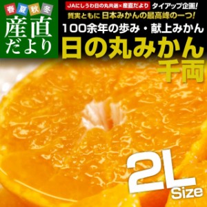 愛媛県より産地直送 JAにしうわ 日の丸みかん 千両 2Lサイズ 約5キロ(35玉前後) 蜜柑 ミカン 送料無料