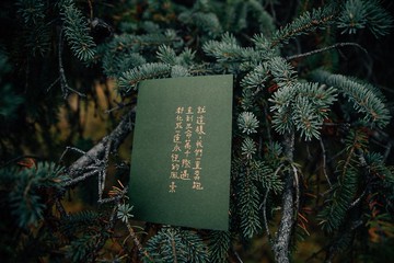 此時此刻。直到生命化成一道永恆的風景 文字明信片 青青的島