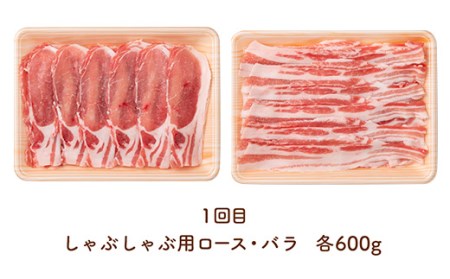 山形県産 銘柄豚 認定 山形豚（しゃぶしゃぶ・生姜焼き・とんかつ用 計2.55kg） お楽しみ定期便2回 山形県 南陽市 1840