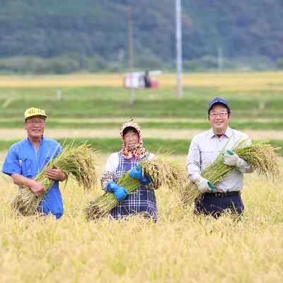 ふるさと納税 山形県 ＜栽培期間中農薬不使用 ひとめぼれ 玄米5kg 大粒LLサイズ以上厳選＞令和5年産