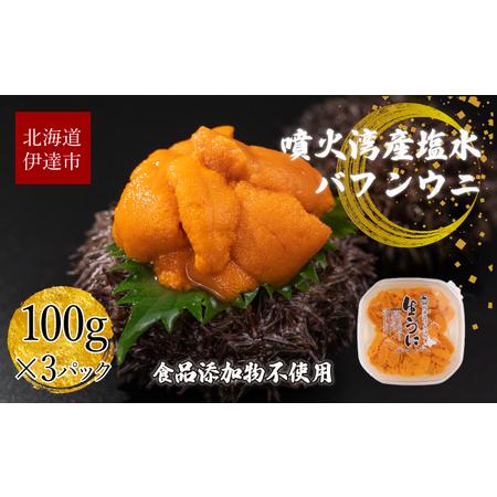 ふるさと納税 北海道 噴火湾産 塩水 バフンウニ 100g 3パック 計300g うに ウニ 雲丹 海鮮 海の幸 魚介類 ウニ丼 お寿司 濃厚 無添加 産地直送 .. 北海道伊達市