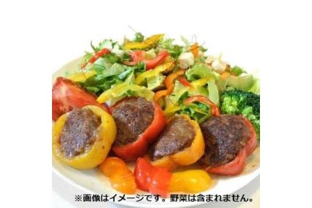 豊後牛ハンバーグ 豊後牛ミンチカツ 国産牛肉湯布院コロッケ バラエティーパック