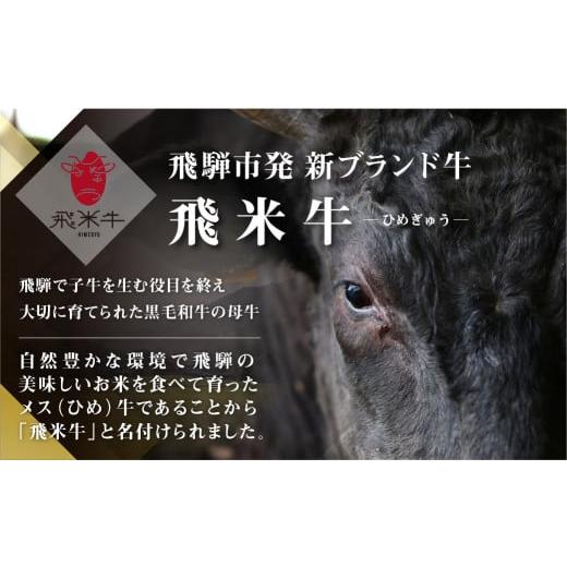 ふるさと納税 岐阜県 飛騨市 飛騨産黒毛和牛 もつ鍋セット 醤油味 3-4人前