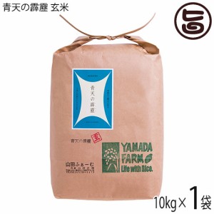 山田ふぁーむ さつき米青天の霹靂 玄米 10kg 青森県 お米 減化学肥料 減農薬