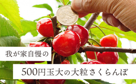 こだわりのさくらんぼ 「紅てまり」 バラ詰め 1kg（500g×2） いまいのさくらんぼ園 B06-603