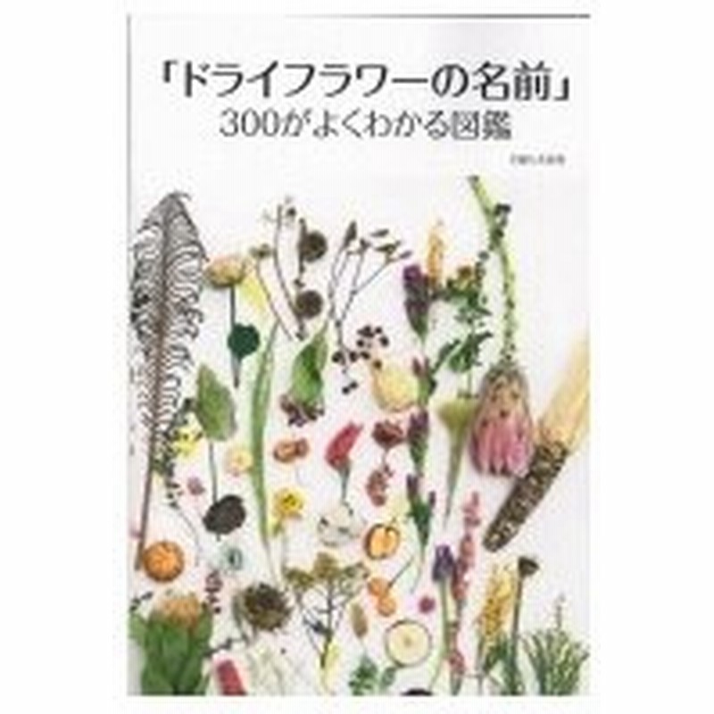 ドライフラワーの名前 300がよくわかる図鑑 主婦と生活社 本 通販 Lineポイント最大0 5 Get Lineショッピング