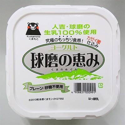 ふるさと納税 人吉市 球磨の恵みヨーグルト　砂糖不使用　1kg入り×6パック