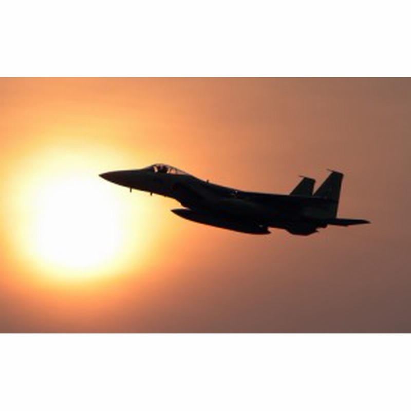 絵画風 壁紙ポスター 航空自衛隊 戦闘機 F 15j イーグル 夕陽 シルエット Jasdf 空自 Jasd 008w2 ワイド版 603mm 376mm 通販 Lineポイント最大1 0 Get Lineショッピング
