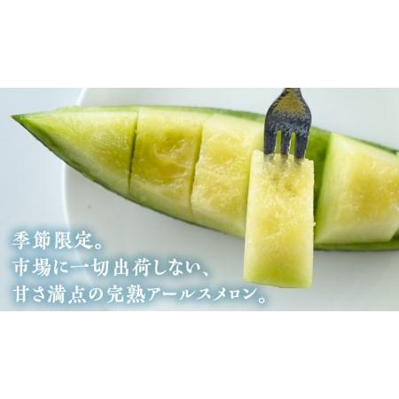 ふるさと納税  秋にお届け ！ リピーター 多数 の 完熟 アールスメロン 大箱 4玉〜5玉入  茨城 メロン 青肉 期間限定 数量限定 マ.. 茨城県筑西市