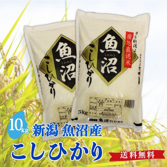 令和5年度産 新米 魚沼産 こしひかり 10kg 送料無料 新潟県 お米 10キロ