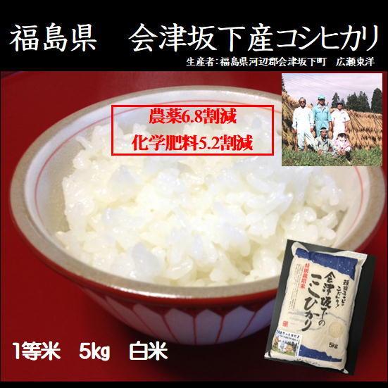 特別栽培米　令和5年産　会津坂下産こしひかり（コシヒカリ）　減農薬・減化学肥料　5kg