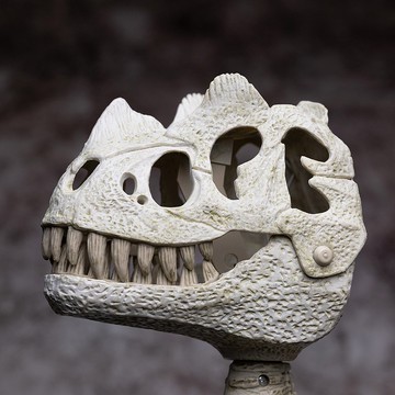 有聲恐龍化石咬咬夾