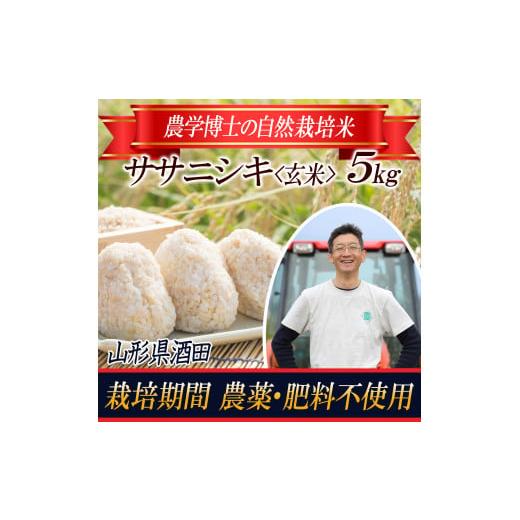 ふるさと納税 山形県 酒田市 SB0395　令和5年産自然栽培米 ササニシキ　5kg〔農学博士が育てたお米〕 HA