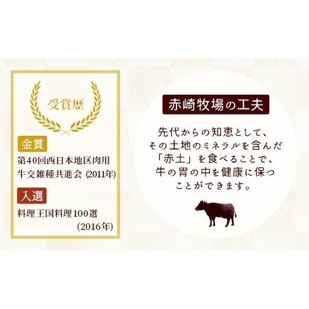 ふるさと納税 赤崎牛 サーロイン ステーキ 約200g 牛肉 福岡県嘉麻市