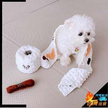 【台灣出貨】寵物玩具 愛心藏食繩結 狗狗毛絨發聲玩具 小熊玩具 陪伴 泰迪 中小型犬玩具 小寵玩具 寵物慢食玩具