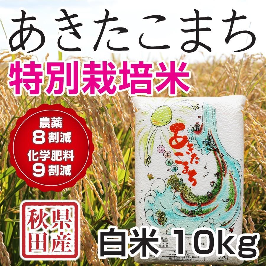 白米 令和5年産新米 秋田県産 あきたこまち 特別栽培米 10kg 農薬8割減 化学肥料9割減 慣行栽培比 農家直送