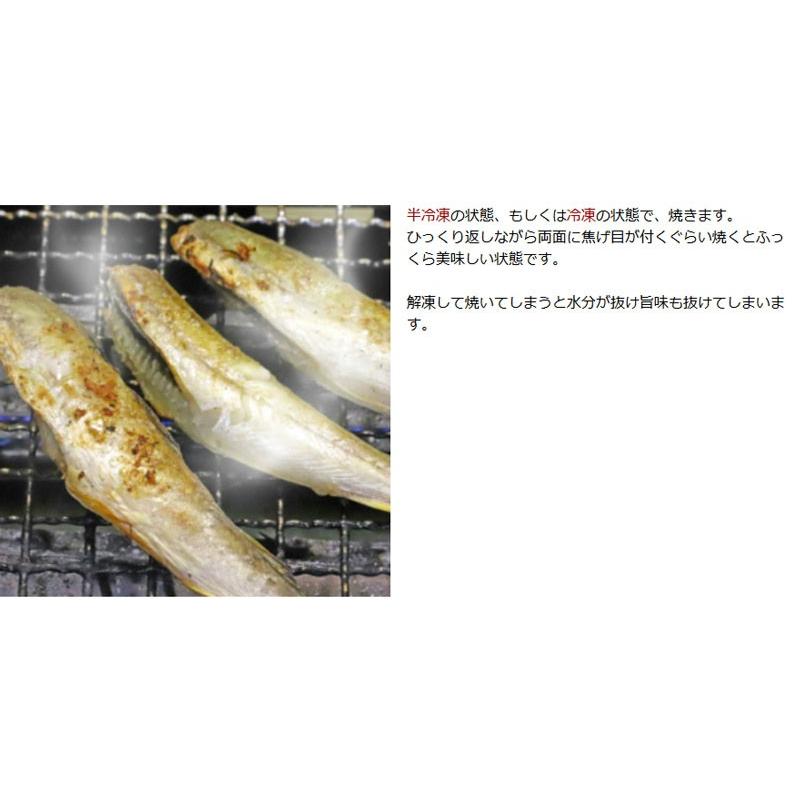 こまい 一夜干し 生干し 北海道産 500g 送料無料 氷下魚（こまい） 別途送料が発生する地域あり