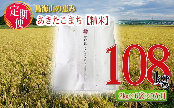 《定期便》12kg×9ヶ月 秋田県産 あきたこまち 精米 2kg×6袋 神宿る里の米「ひの米」（お米 小分け）