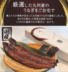 国産うなぎ蒲焼 2尾 約350g