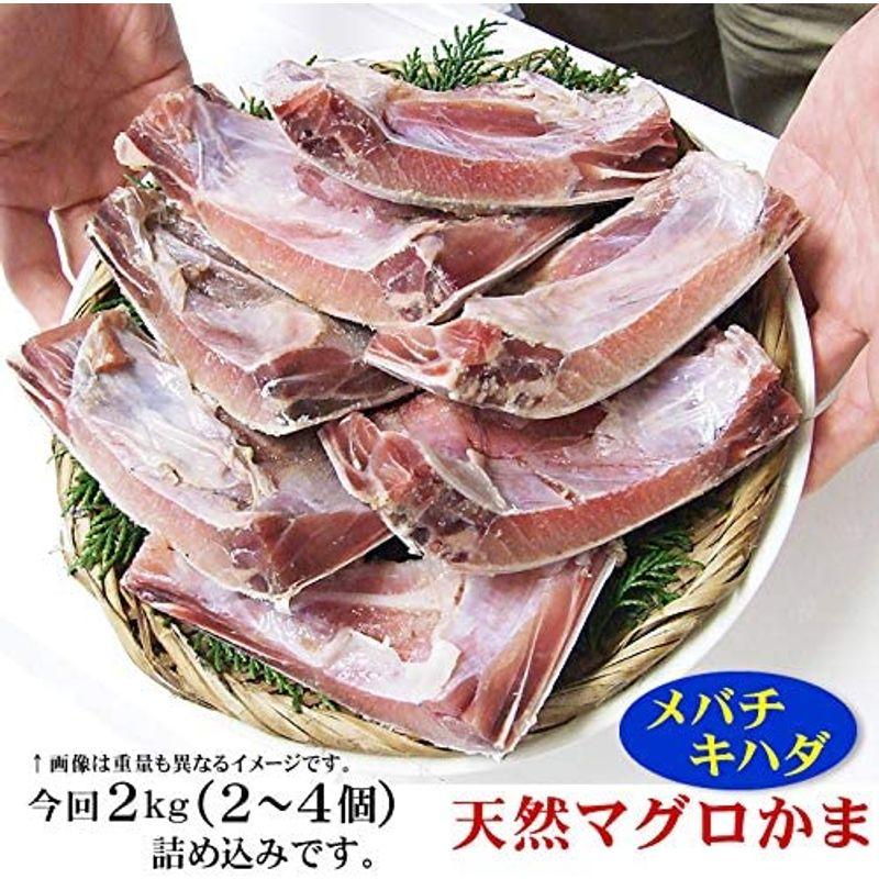 マグロかまどっさり2ｋｇ(2?8個)詰め込み冷凍