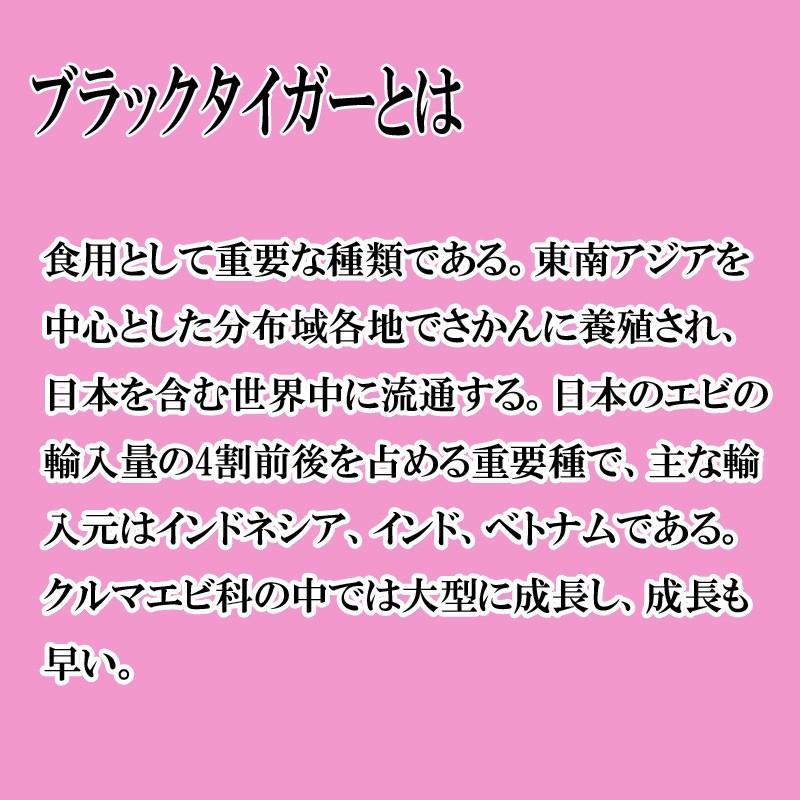 海鮮 えび ブラックタイガーエビ　21 25サイズ