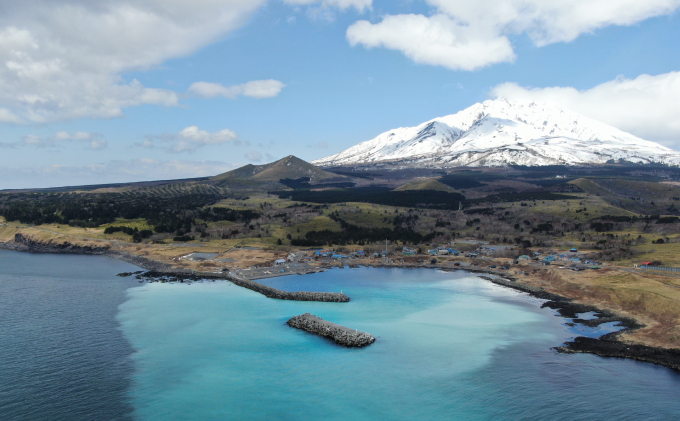 北海道 利尻 島産「朝どり」生うに塩水パック80g×6パック（キタムラサキウニ）［2024年6月発送開始先行受付] ウニ 塩水ウニ