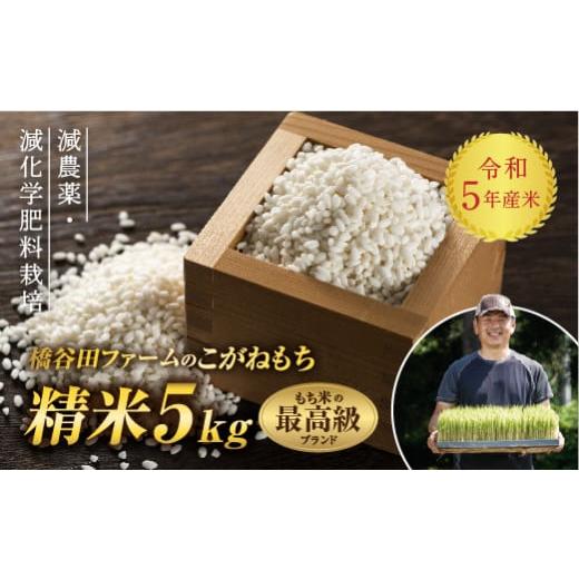 ふるさと納税 福島県 西会津町 令和5年産米 減農薬・減化学肥料栽培 もち米 こがねもち 5kg 精米 米 お米 おこめ ご飯 ごはん 福島県 西会津町 F4D-0290